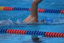 Enlarge photo 74