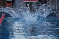Enlarge photo 84