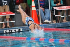 Enlarge photo 93