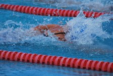 Enlarge photo 97