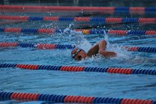 Enlarge photo 119