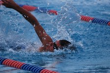 Enlarge photo 125