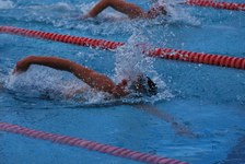 Enlarge photo 127