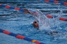 Enlarge photo 135
