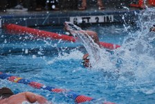 Enlarge photo 138