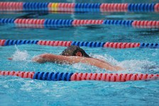 Enlarge photo 155