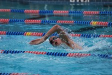 Enlarge photo 158