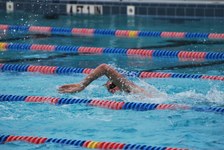 Enlarge photo 159