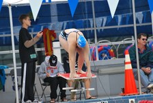 Enlarge photo 175