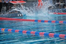 Enlarge photo 179