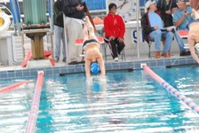 Enlarge photo 182