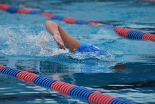 Enlarge photo 226