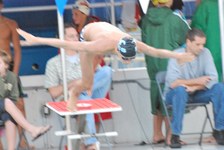 Enlarge photo 241