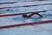 Enlarge photo 318