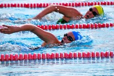 Enlarge photo 342
