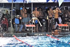 Enlarge photo 443