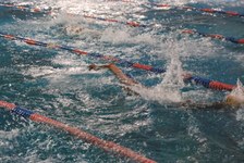 Enlarge photo 452