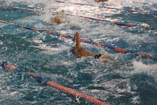 Enlarge photo 453