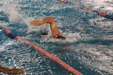 Enlarge photo 459