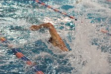 Enlarge photo 462