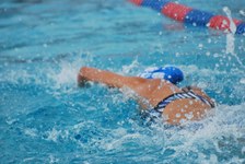 Enlarge photo 483
