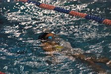 Enlarge photo 494