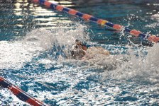 Enlarge photo 501