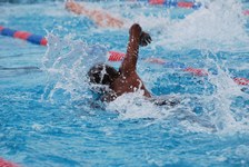 Enlarge photo 509