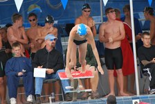 Enlarge photo 513