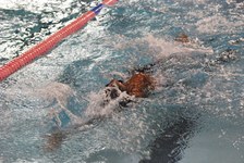 Enlarge photo 532
