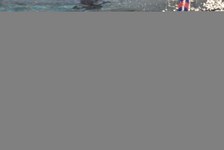 Enlarge photo 814