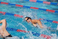 Enlarge photo 116