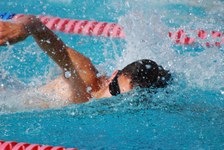 Enlarge photo 120