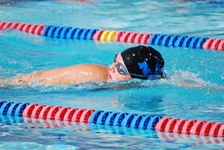 Enlarge photo 164
