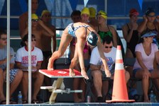 Enlarge photo 184