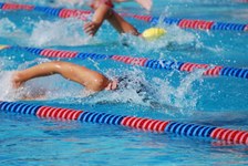 Enlarge photo 211