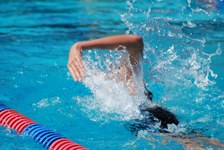 Enlarge photo 224
