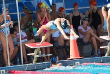 Enlarge photo 364