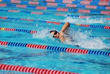 Enlarge photo 367