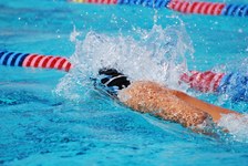 Enlarge photo 387