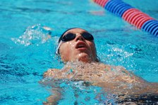 Enlarge photo 494