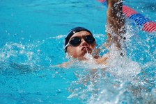 Enlarge photo 496