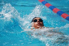 Enlarge photo 497