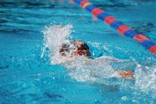 Enlarge photo 499
