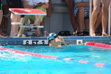 Enlarge photo 508