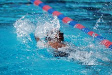 Enlarge photo 524
