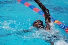 Enlarge photo 529
