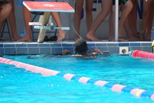 Enlarge photo 531