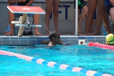 Enlarge photo 533