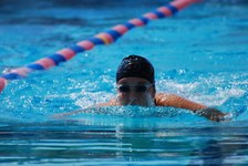 Enlarge photo 582